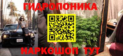 СК Славгород