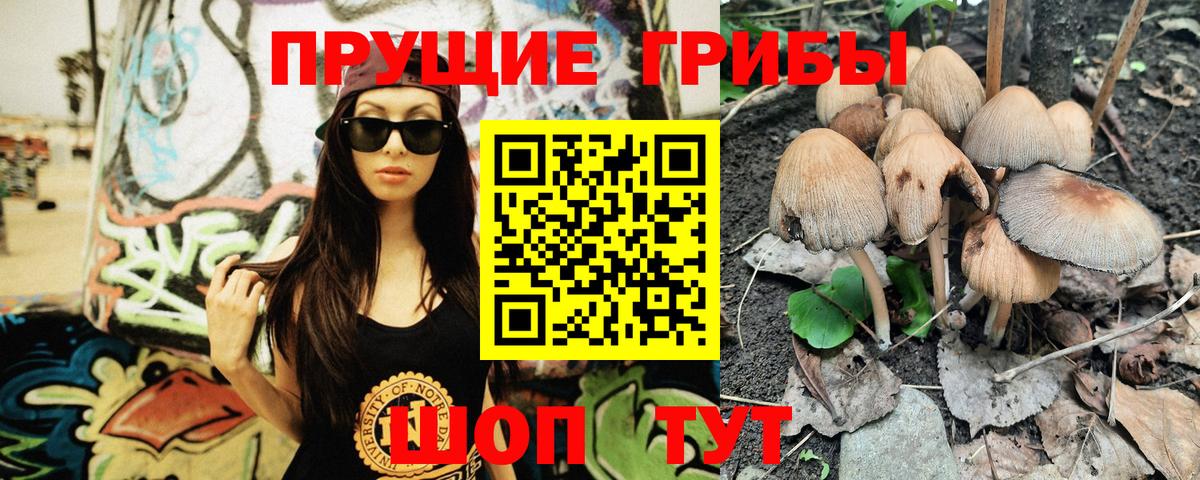 Протвино  Галлюциногенные грибы мухоморы  где купить наркотик  Вход с VPN 