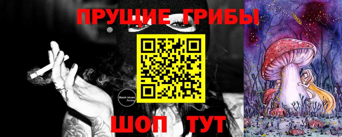 Псилоцибиновые грибы Psilocybe Протвино